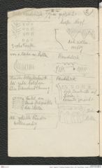 Seite 4, Tagebuch "Pressburg | Budapest | Brünn | Cilli | Prag, Breslau, Troppau" (NHMW-PRAE-BBB-44)